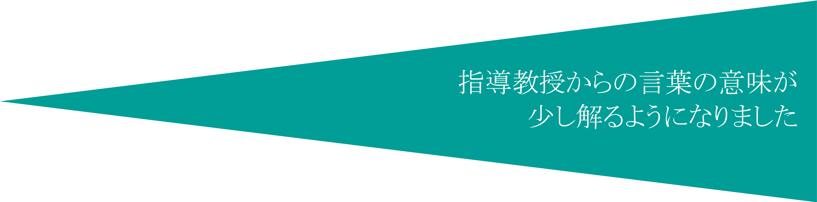 指導教授からの言葉の意味が少し解るようになりました